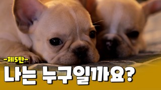 쫑긋선 귀와 큰 눈의 주인공, 나는 누구일까요?
