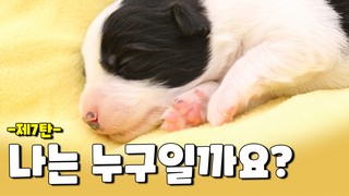 얼룩무늬 털을 가진 나는 누구일까요?