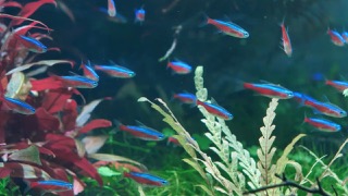 한국의 산 - 박영은