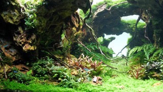 숨겨진 세상 - 이솔