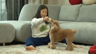 아이와 함께 반려생활을 할 때 알아야할 것들!