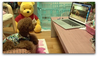 엄마랑 같이 보는 해피독tv