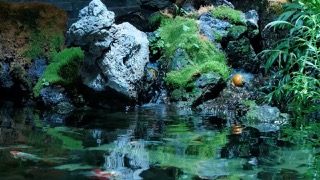 꿈의 정원 - 조재선